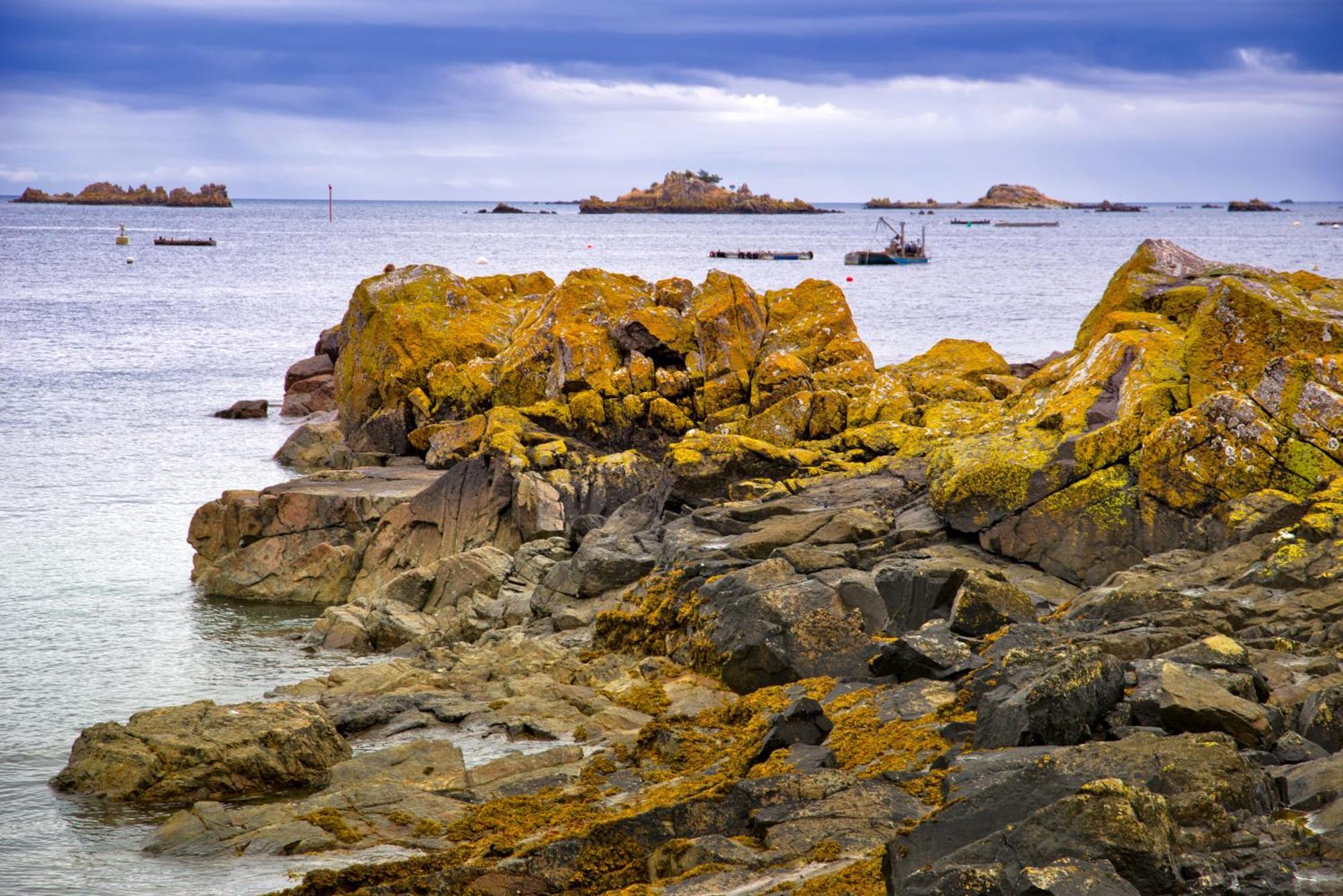 Gite Paimpol Le Loarwenn Экстерьер фото
