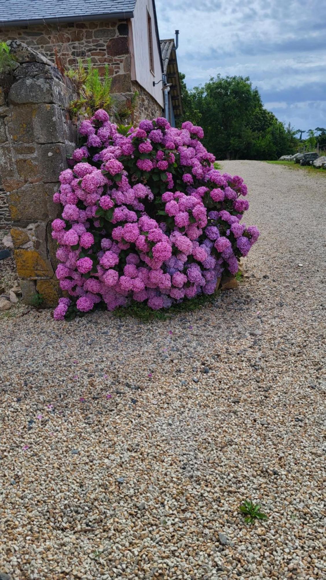 Gite Paimpol Le Loarwenn Экстерьер фото